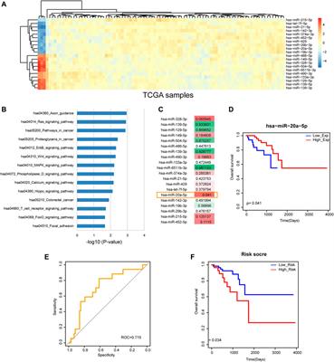 Comprehensive Analysis of miRNA-Mediated Regulatory Network and Identification of Prognosis Biomarkers in Rectal Cancer